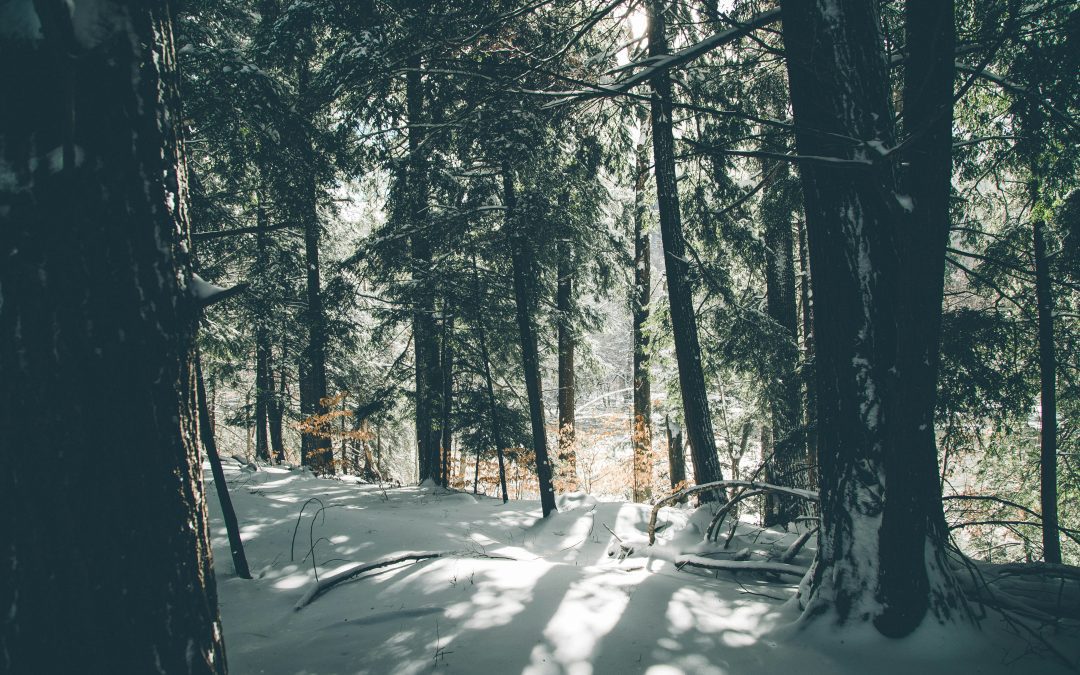 Protected: December 16 & 18, 2025 | Motivational Interviewing: Advancing the Practice