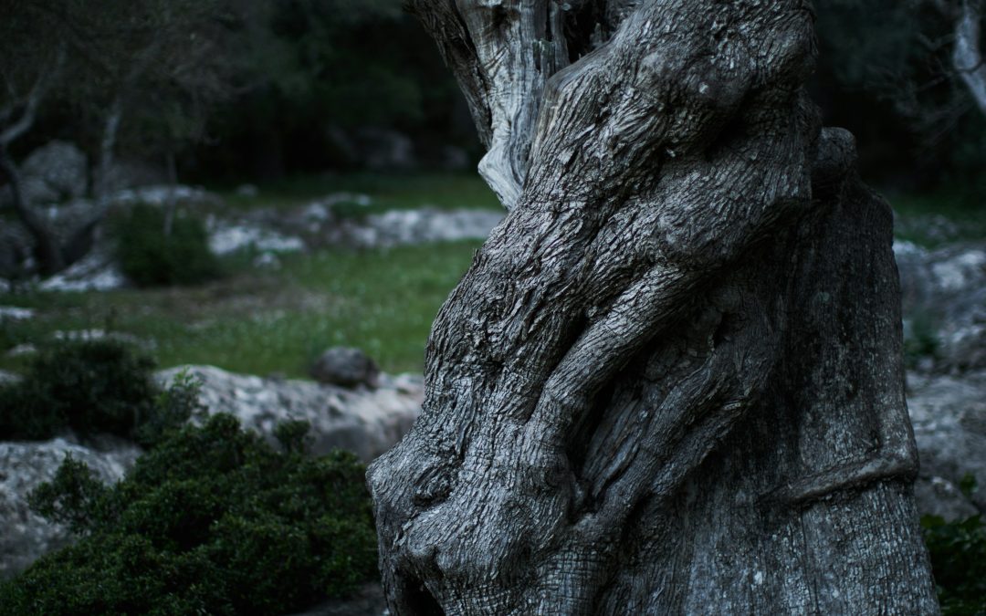 November 1, 2024 | Treating Pain in People who use Substances | ME SUD Learning Community