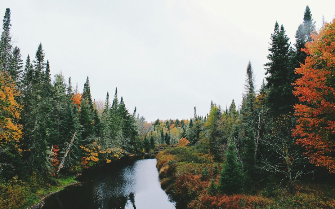 October 22, 2024 | Harm Reduction Efforts in Rural Maine | ME SUD Learning Community