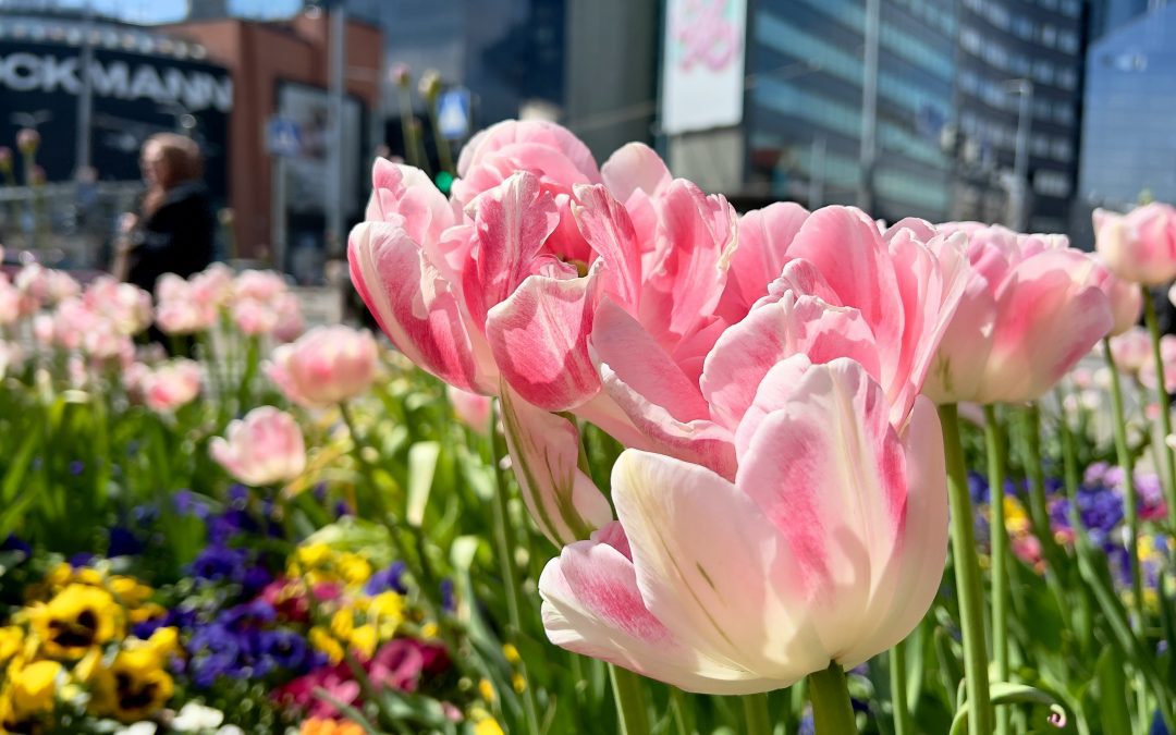 April 8 & 10, 2025 | Certified Clinical Supervision: Assessing Skills and Self-Evaluation