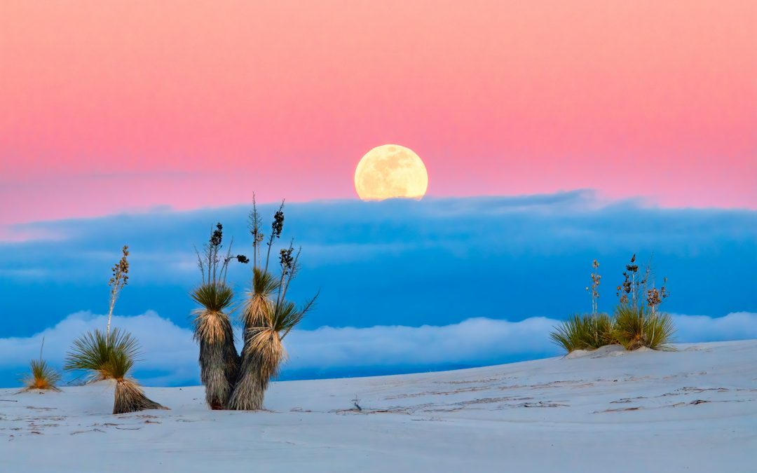 April 11, 2025 | Critical Updates in Overdose Prevention | ME SUD Learning Community