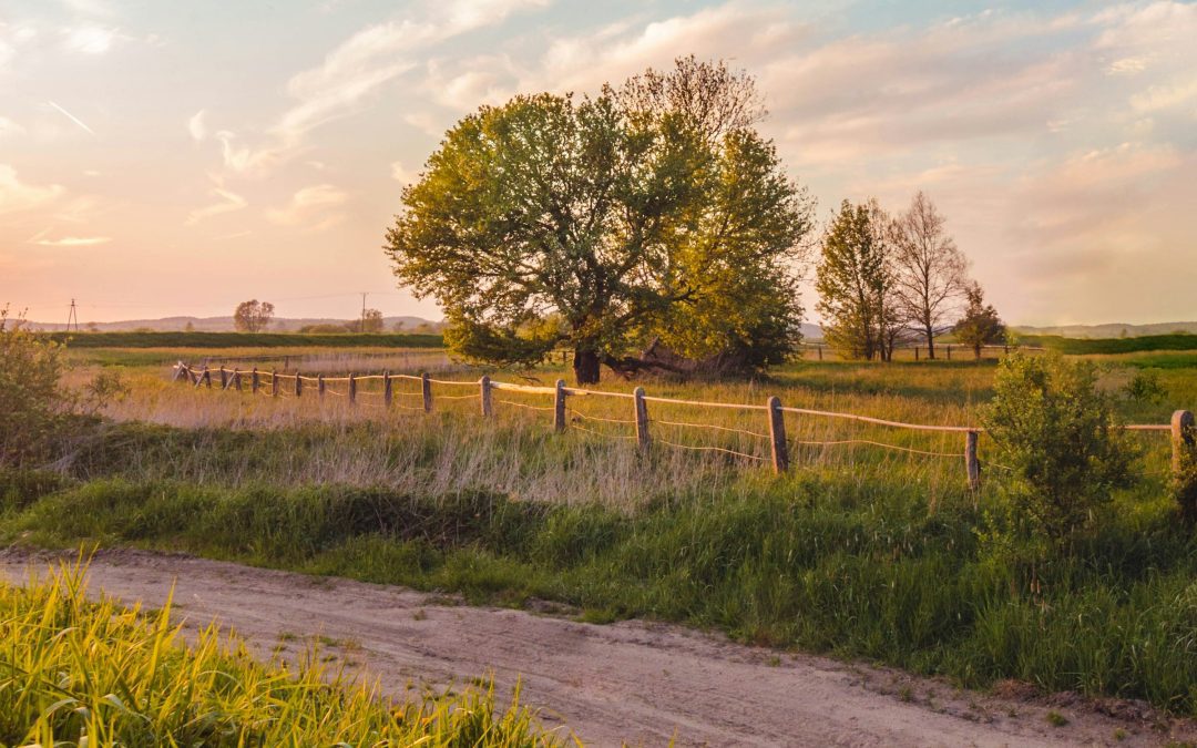 August 13, 2025 | Methadone Update | ME SUD Learning Community