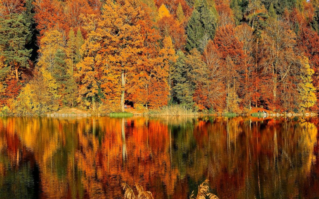 September 17, 2025 | Methadone Initiations in the Fentanyl Era: New SAMHSA Rules, New Drug Supply… Same Dosing Protocols? | ME SUD Learning Community