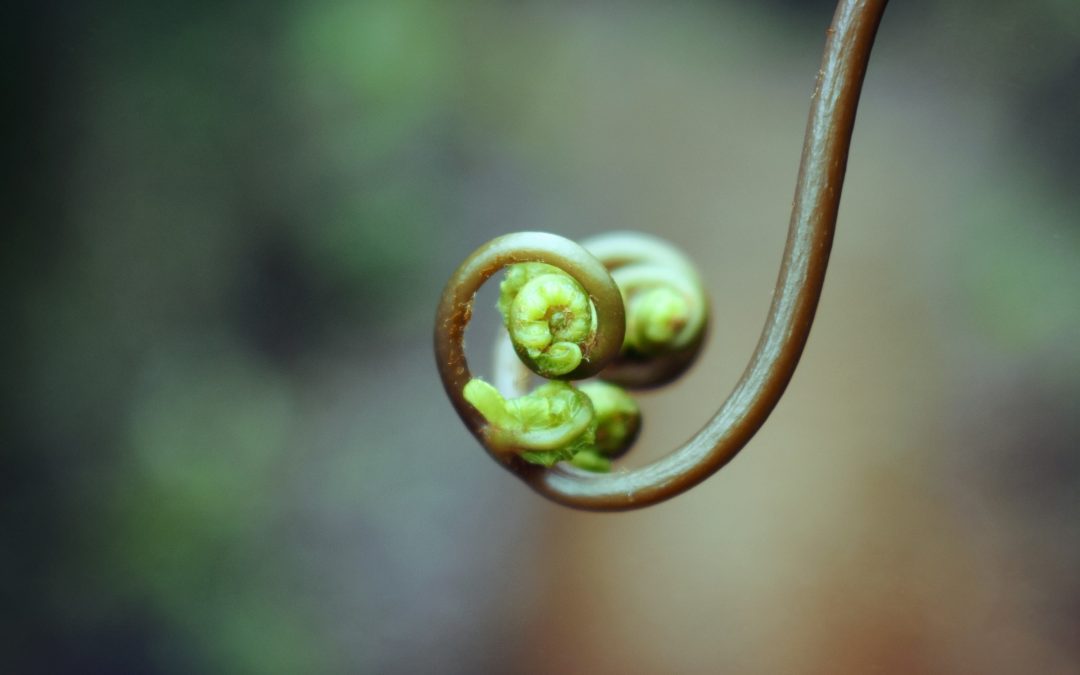 November 19, 2025 | Beyond Awareness: Evidence-Based Strategies for Reducing Stigma in Clinical Practice | ME SUD Learning Community