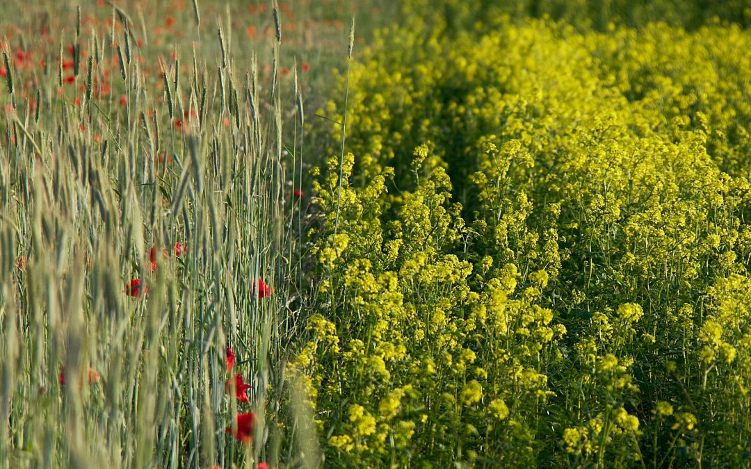 December 4, 2025 | Addressing the Impact of Substance Use Stigma in Maine | ME SUD Learning Community